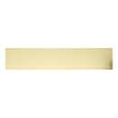 Brass Accents [A09-P0628-PVDMAG] Stainless Steel Door Kick Plate - Magnetic Mount - Polished Brass (PVD) Finish - 6" W x 28" L