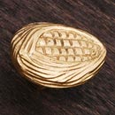 RK International [CK-211] Solid Brass Cabinet Knob - Ear of Corn - Polished Brass Finish - 1 1/2&quot; L