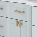 Reeves Series - Atlas Homewares Decorative Cabinet & Drawer Hardware Collection
