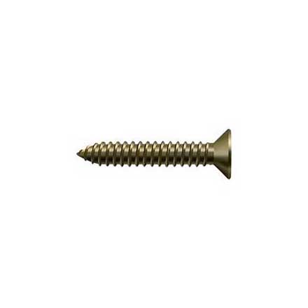 Deltana [SCWB14125U5] Solid Brass Wood Screw - #14 x 1 1/4&quot; - Flat Head - Phillips - Antique Brass Finish