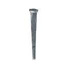 Common Rosehead Cut Nails - Fasteners, Screws, Nails - Builder's Hardware & Accessories