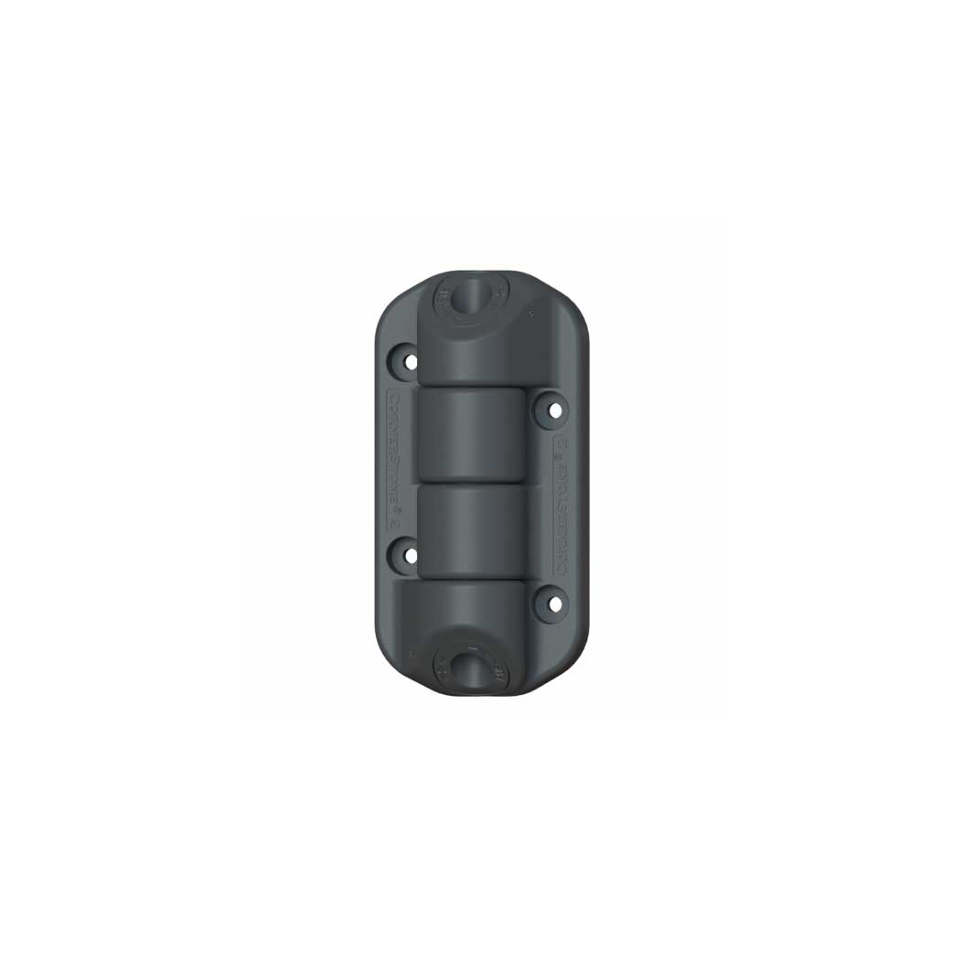 Nationwide Industries [C2H100N] Self Closing Gate Hinge