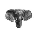 Notting Hill [NHK-153-AP] Solid Pewter Cabinet Knob - Goliath (Elephant) - Antique Pewter Finish - 1 7/8&quot; W