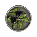 Notting Hill [NHK-169-PHT] Solid Pewter Cabinet Knob - Olive Branch - Hand-Tinted Antique Pewter Finish - 1 5/16" Dia.
