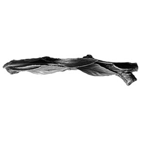 Notting Hill [NHP-672-AP-R] Solid Pewter Cabinet Pull Handle - Leafy Branch - Right Side - Antique Pewter Finish - 5" L