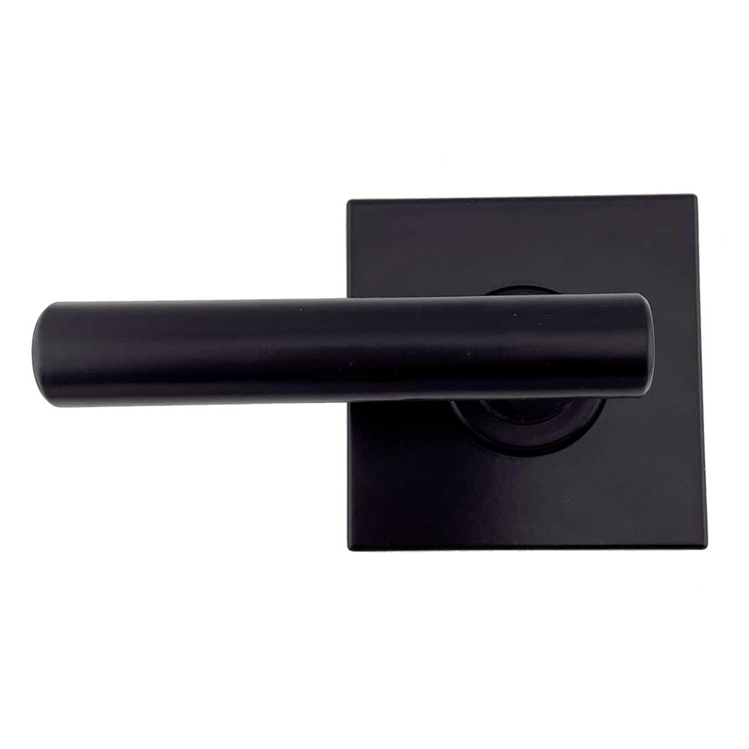 Outerpull [OPL300] Exterior Gate Lever Pull Single Dummy Dyno