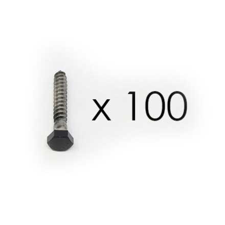 Snug Cottage [FP-LSB-5/16-2C] Stainless Steel Lag Screw - Black Finish - 5/16" x 2" L - 100 Pack