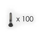 Snug Cottage [FP-LSB-5/16-2C] Stainless Steel Lag Screw - Black Finish - 5/16" x 2" L - 100 Pack