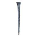 Tremont Nail [CG10] Steel Sheathing Cut Nail - Standard Finish - 10D - 3&quot; L - 1 lb. Box